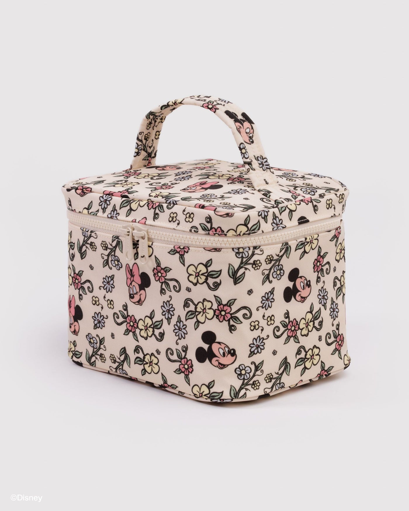 Large Cosmetic Case